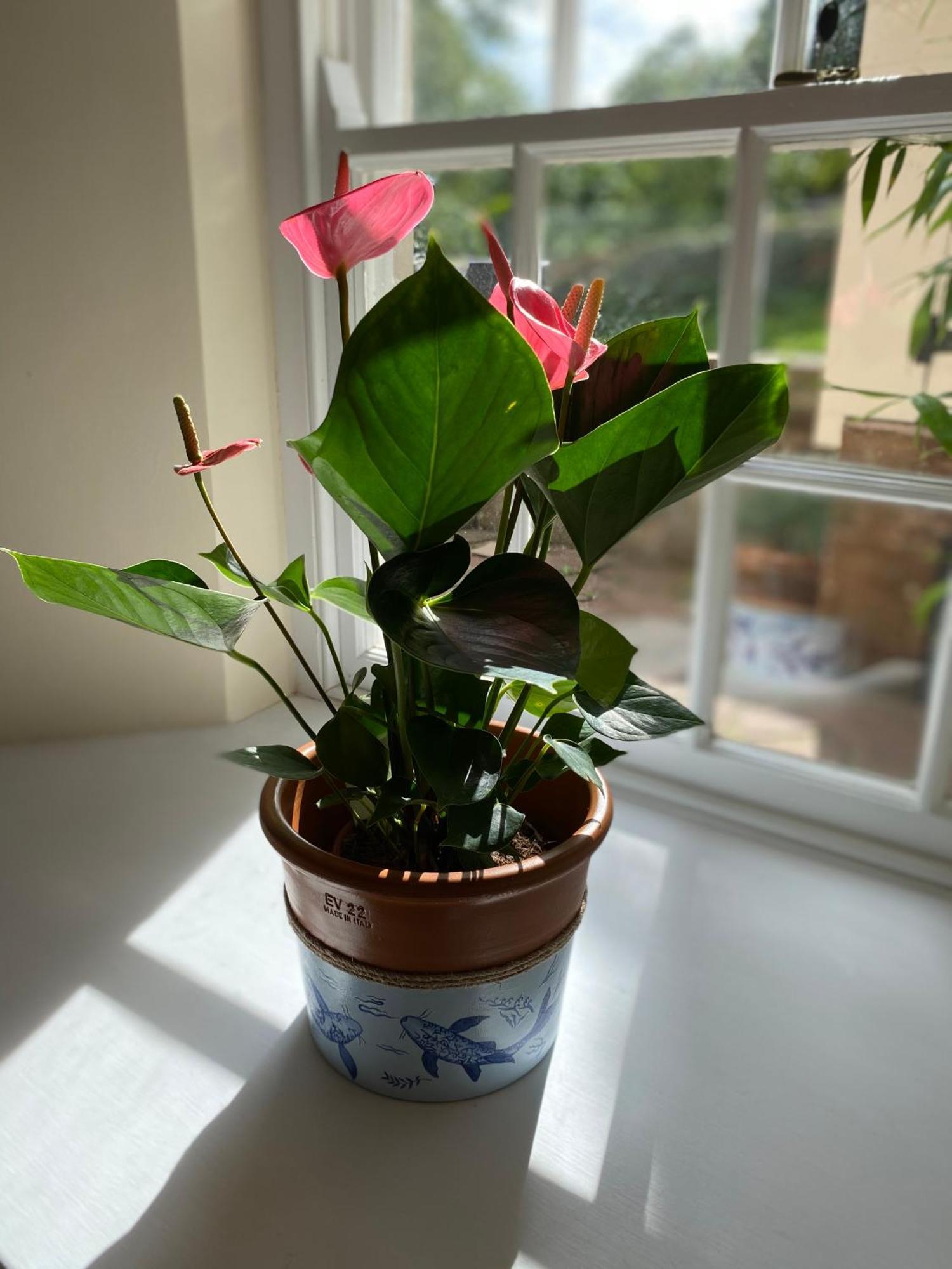 The Cosy Nook Cottage Company - Cosy Cottage Warcop 客房 照片